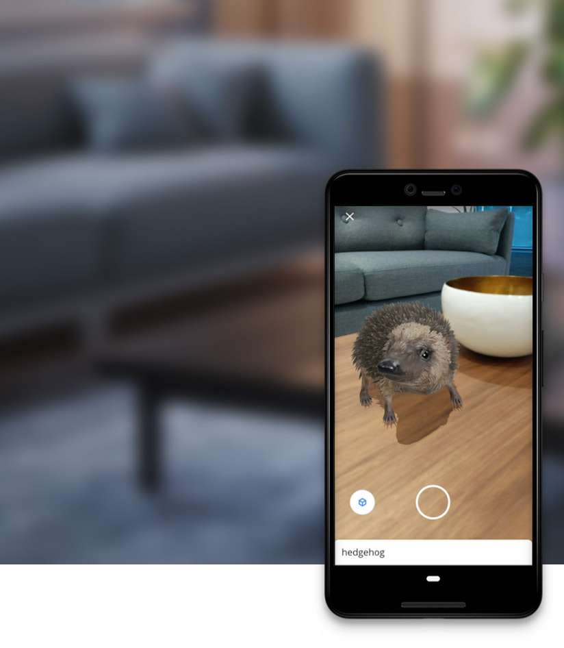 Quarantine Is Fun With New Exciting Google 3D Animals Feature 2
