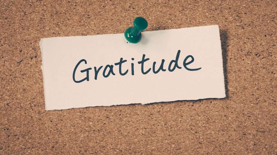 Leadership Qualities - Gratitude
