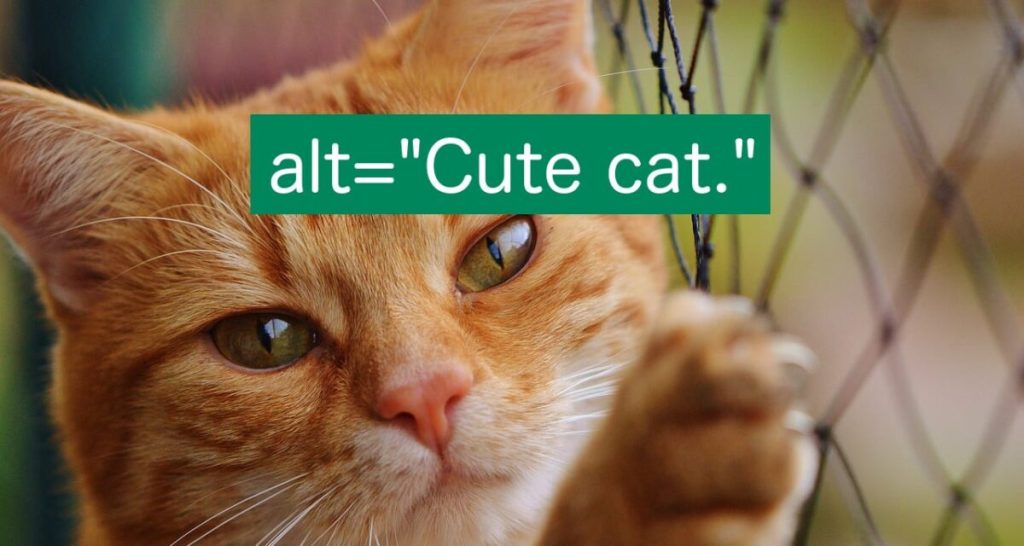 Best alt text optimization