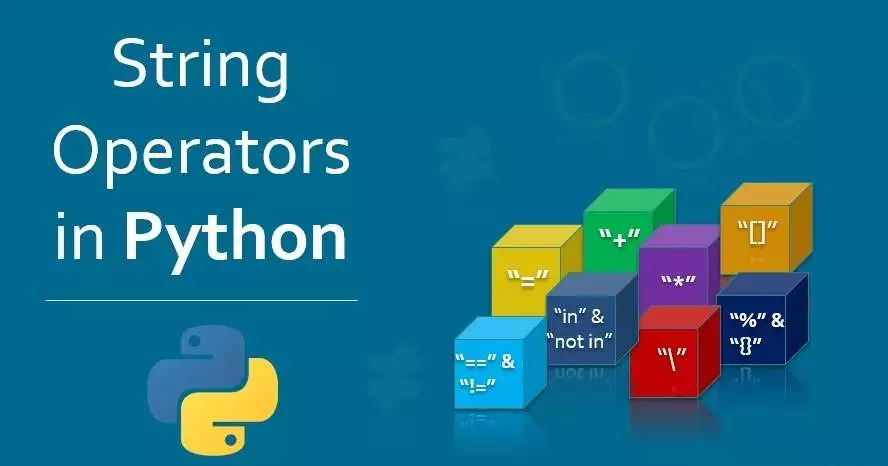 python string length
